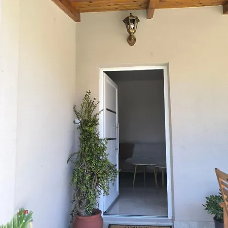 Araucaria Manis Mesokhórion