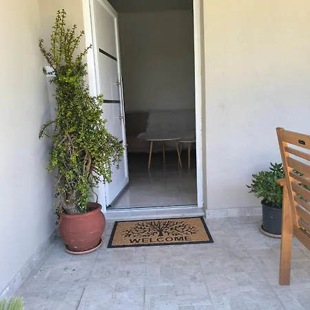 Araucaria Manis * Mesokhórion